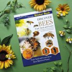 Discover Bees sticker activity book displayed with sunflowers and bee decorations