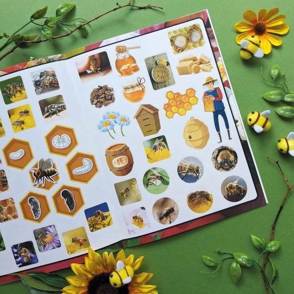 Open Discover Bees book showing colourful bee stickers and activities