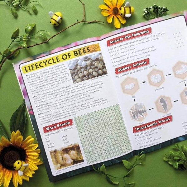 Discover Bees sticker book opened to educational bee facts and activities