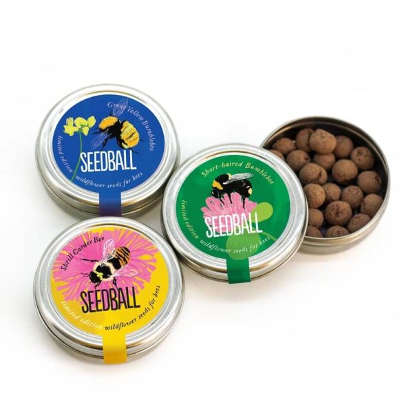 Assorted Seedball tins with one open to show the clay seed balls inside